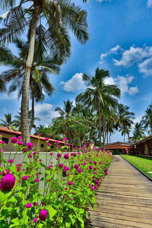 Amagi Beach - Secluded Slice Of Paradise Hotel Marawila Exterior photo