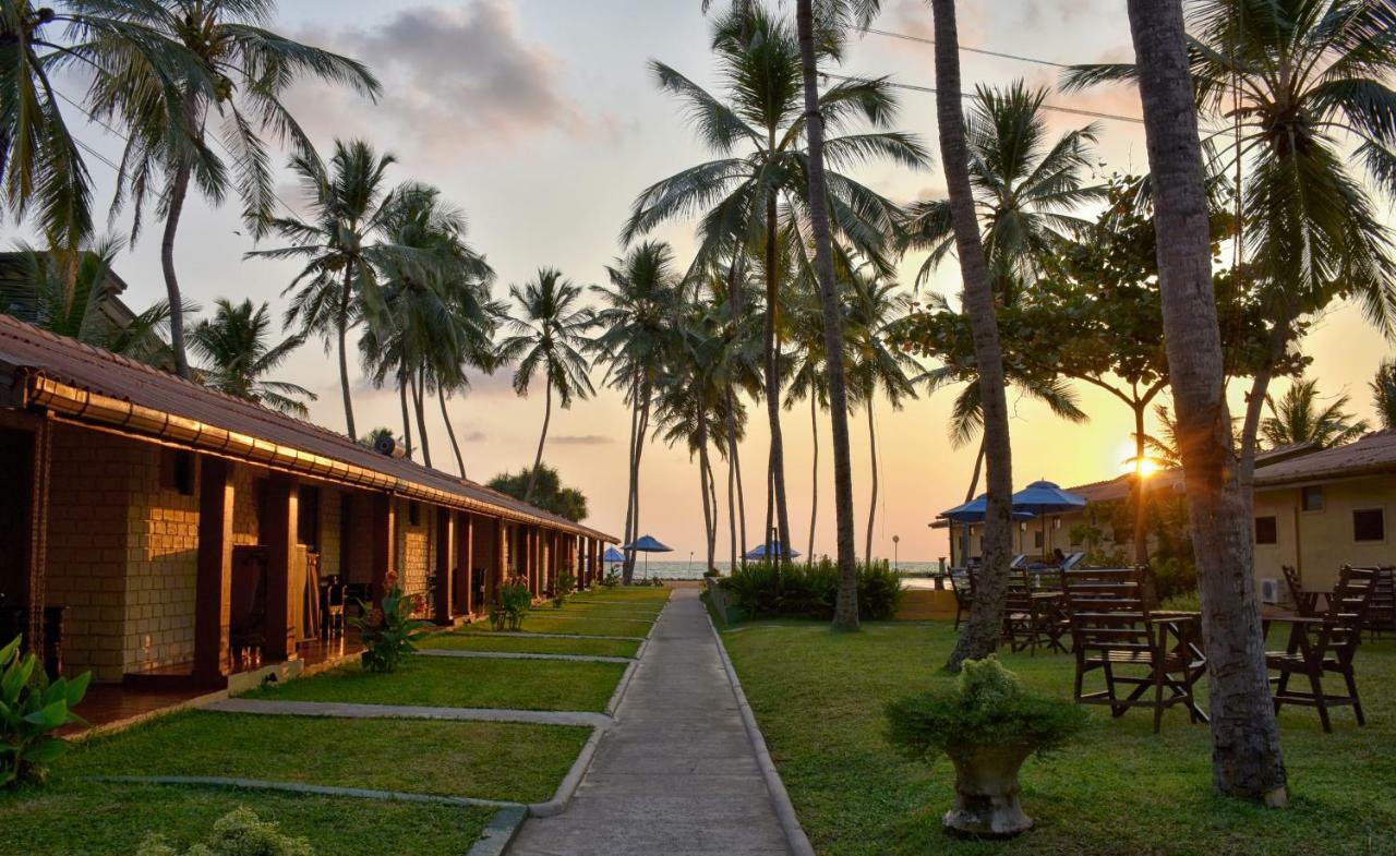 Amagi Beach - Secluded Slice Of Paradise Hotel Marawila Exterior photo